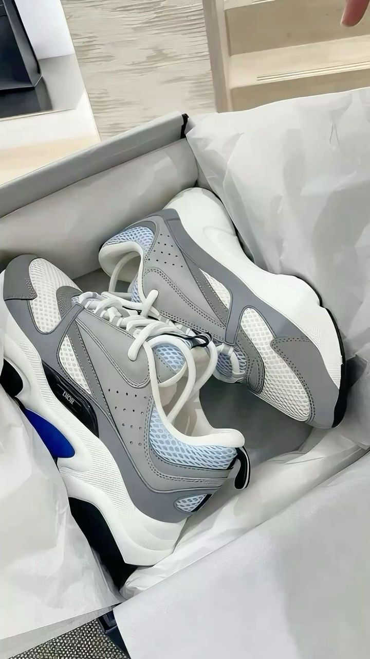 Dior homme b22