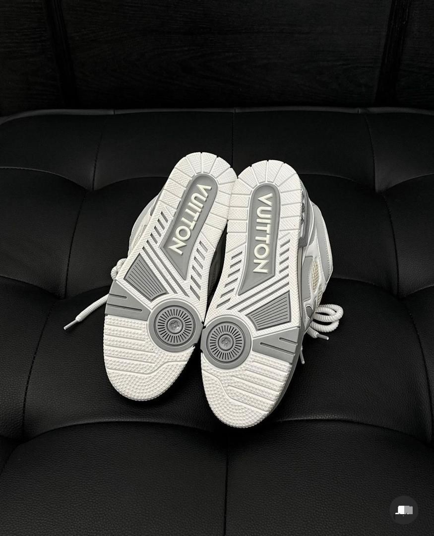 Louis Vuitton SKate gris