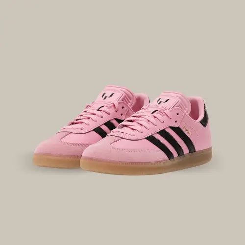 Adidas samba