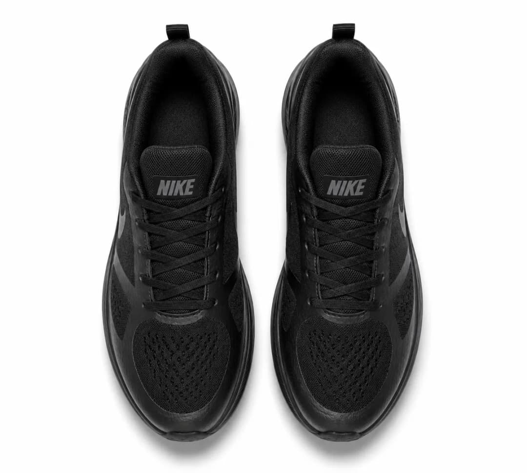 Nike Guide 10 Air Zoom