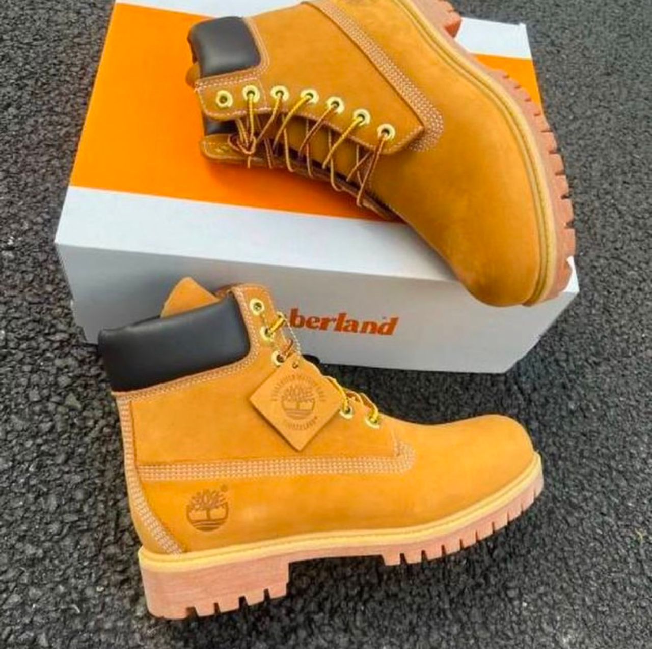 Timberland