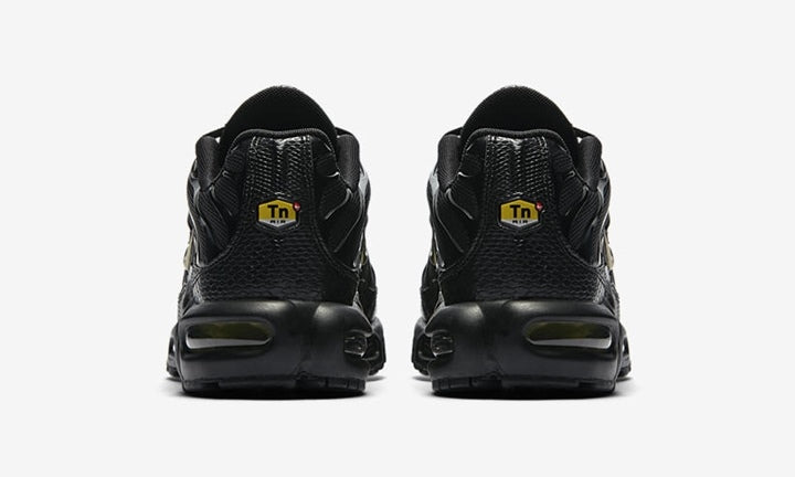 Nike TN