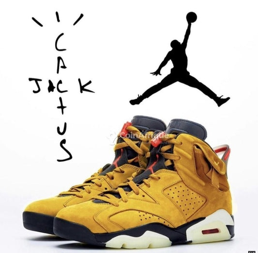 Jordan 6
