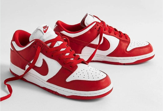 Nike SB